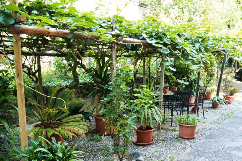 Cafe Rudi Living Bed & Breakfast Parcines Exterior photo